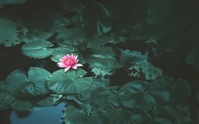 Relacionarte con tu ansiedad